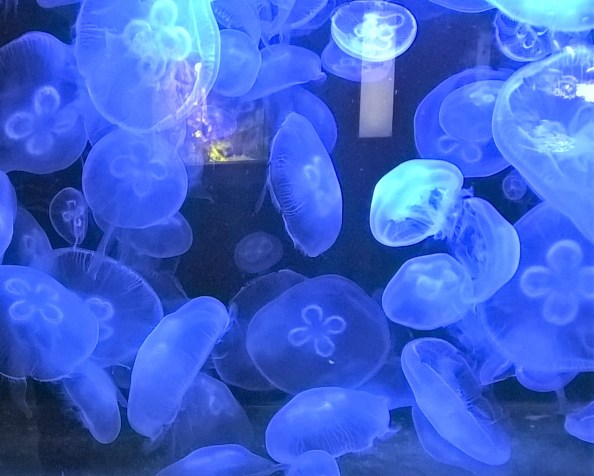 In jeder Chance steckt eine&nbsp;Krise